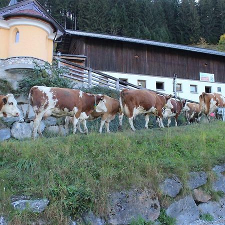 Appartmenthof Aigengut Ferienwohnung Grossarl Bagian luar foto