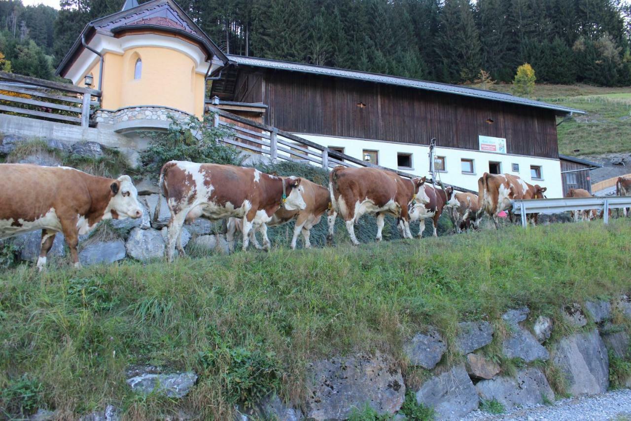 Appartmenthof Aigengut Ferienwohnung Grossarl Bagian luar foto
